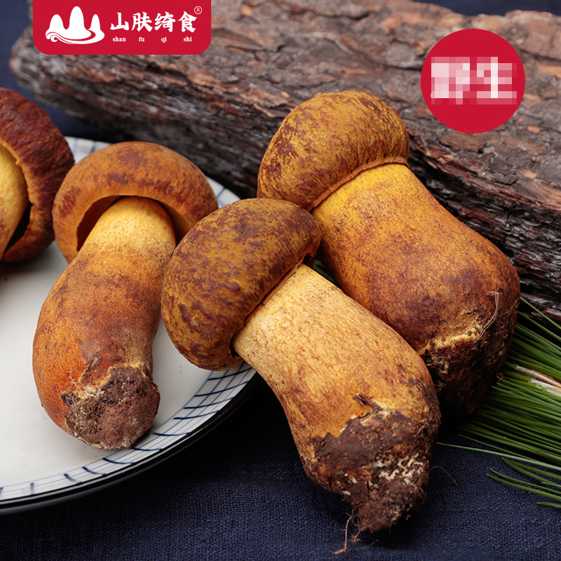 【黄牛肝菌】新鲜黄牛肝菌云南菌菇煲汤蘑菇500g鲜美