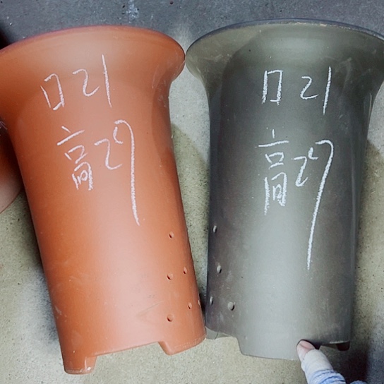 红陶紫砂紫砂紫砂