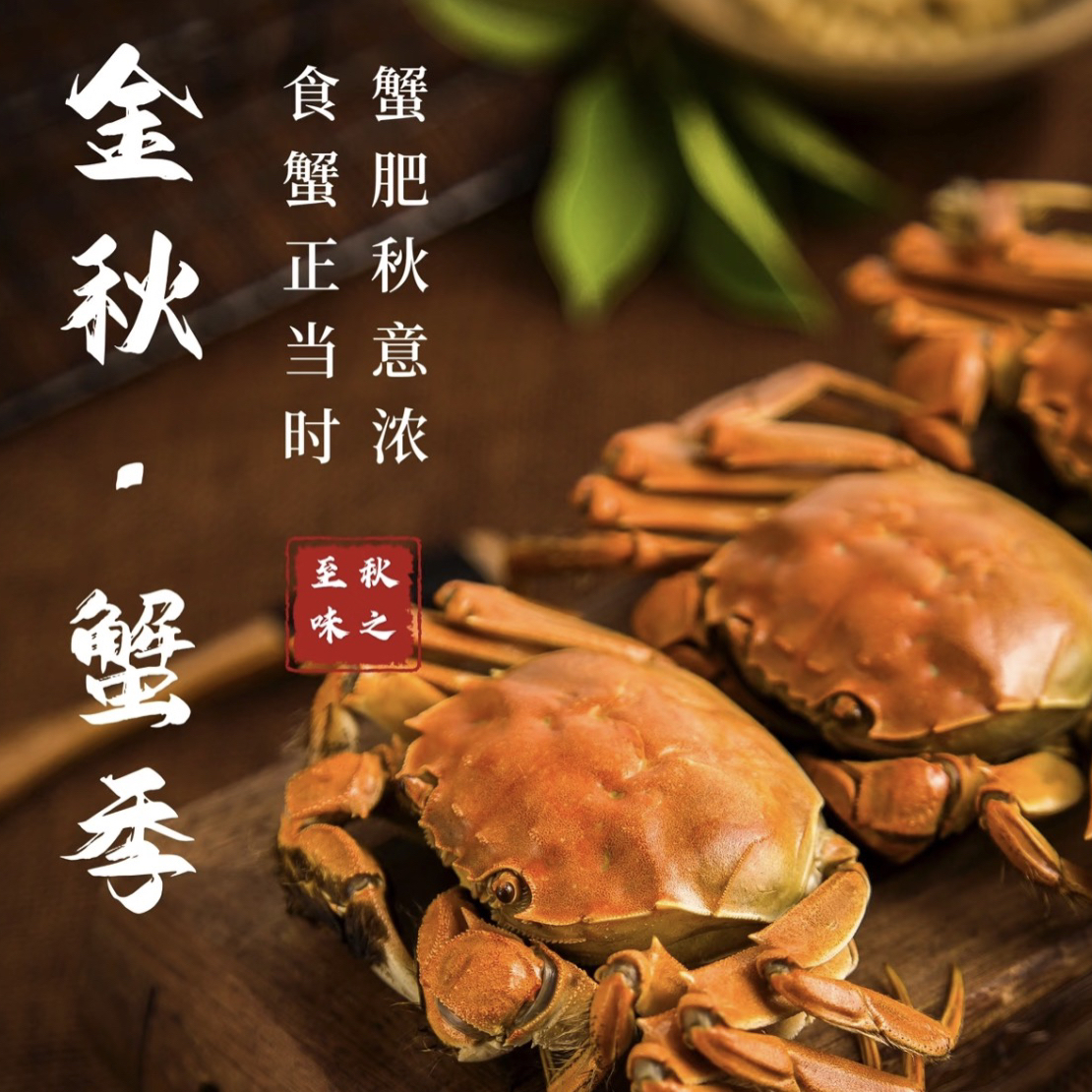 【活蟹】盘锦河蟹稻田蟹膏肥肉厚2.0两公3斤精品手挑顺丰直发