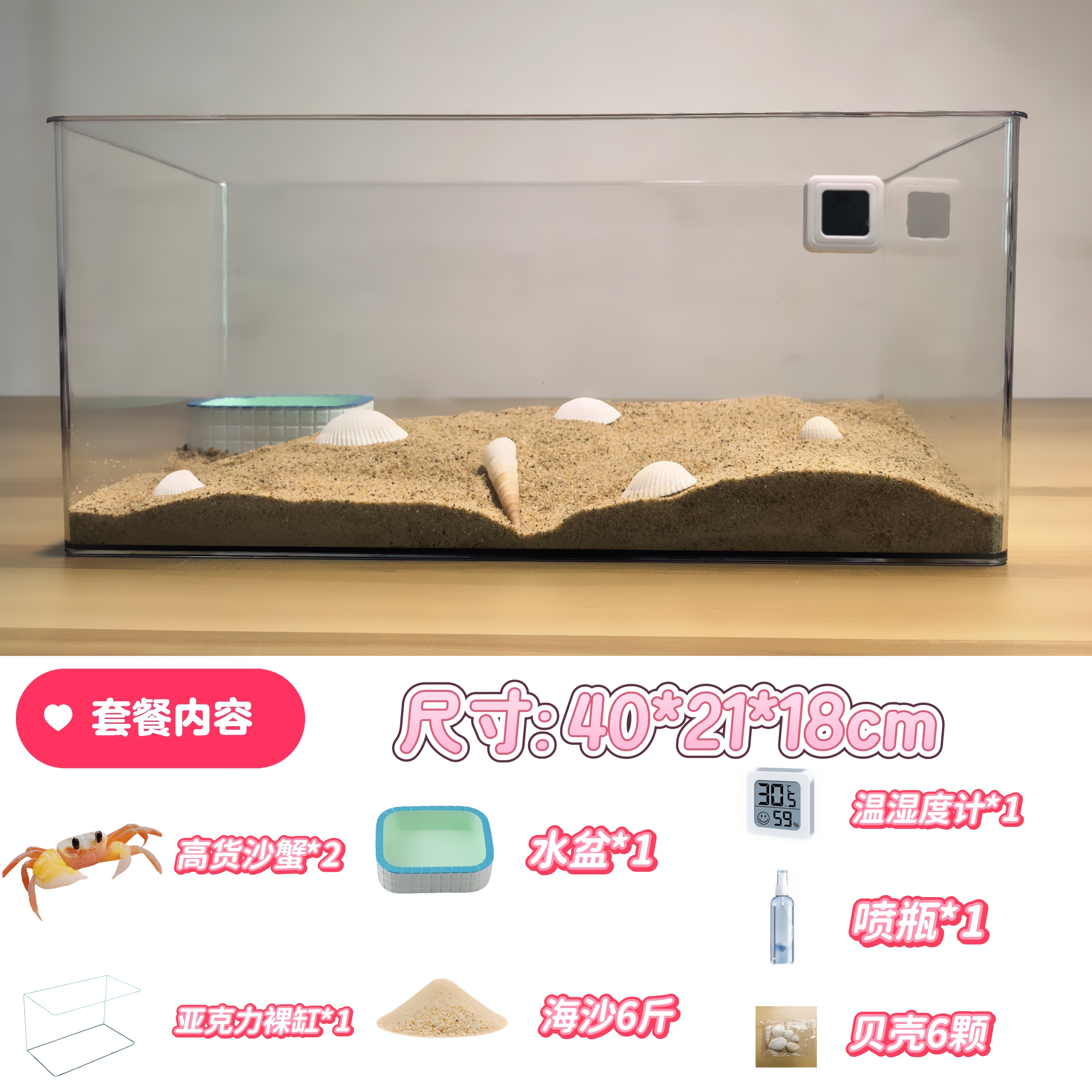 40cm新手适用大眼萌中华沙蟹寄居蟹亚克力生态饲养箱螃蟹生态蟹缸