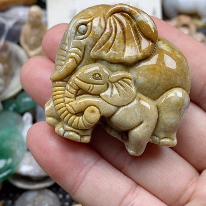 硅化珊瑚（珊瑚玉）未镶嵌颈饰