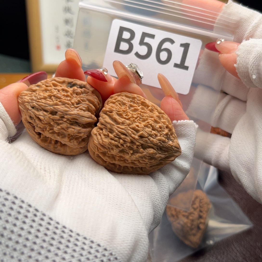 文玩核桃把件36塔尖b 561