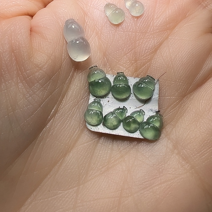 翡翠耳饰未镶嵌用****6翡翠蛋面一手