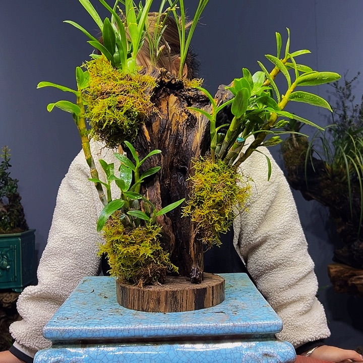 一***清完全开放1111111111