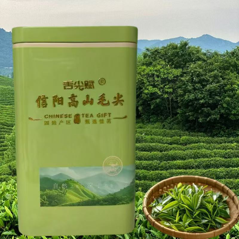 信阳毛尖2025年明前头采信阳高山毛尖茶野生茶手工采炒125g品鉴装