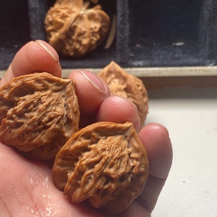 松***轻手串/手链核桃特价商品，不退不换