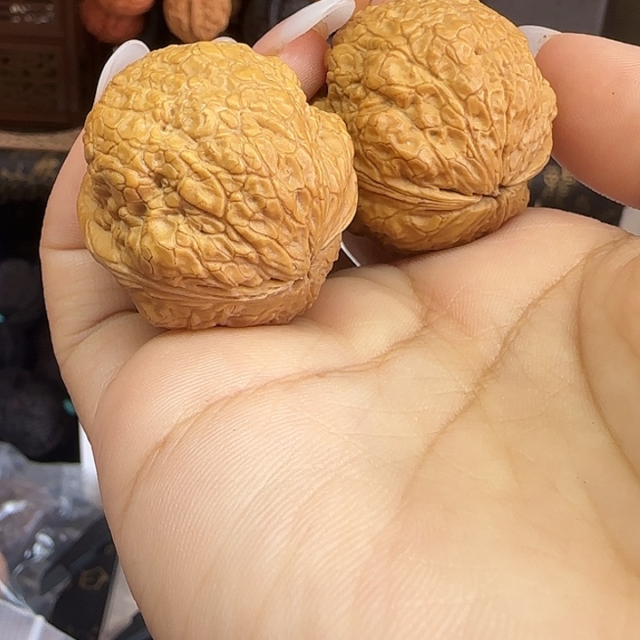 文玩核桃吊坠铁鹦鹉35