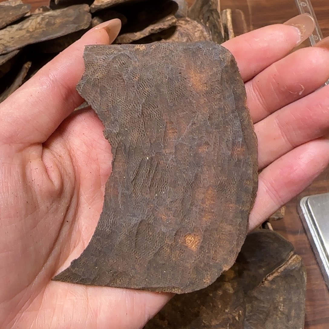 沉香沉香碎屑包头5.8克