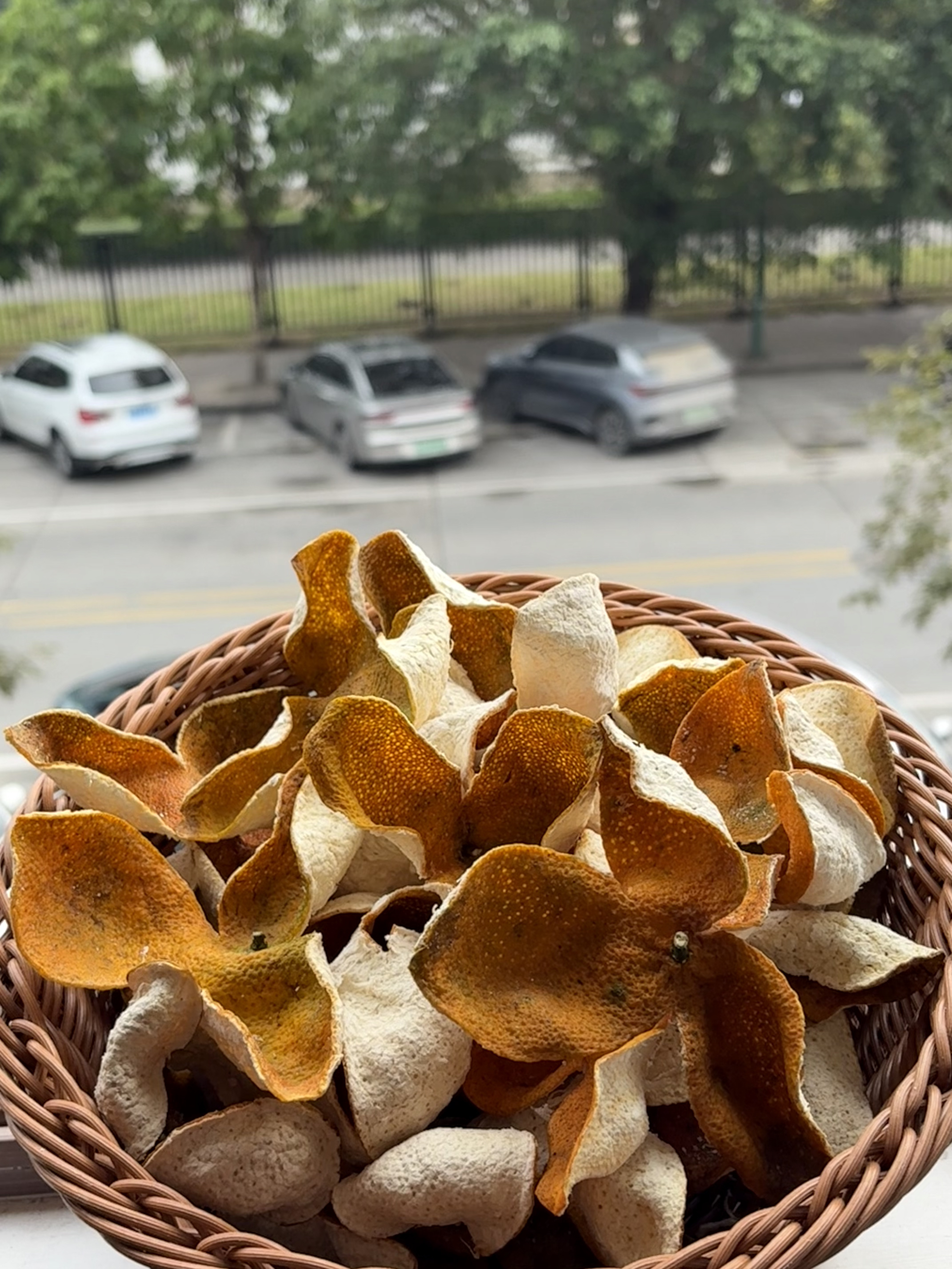 2025年<梅江>冬后大红皮  12年<原枝>老树 天然生晒