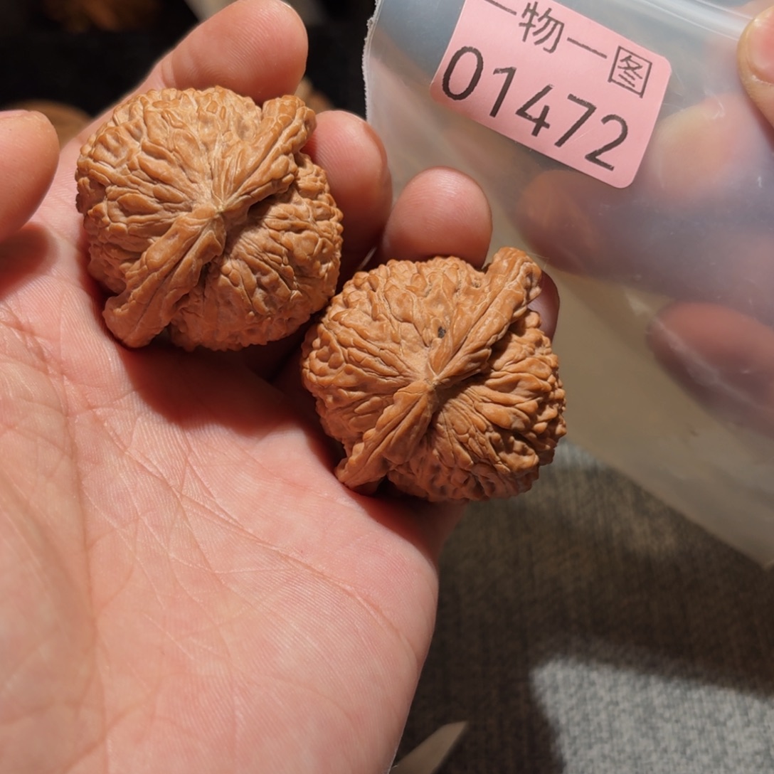 在***途文玩核桃把件白狮子