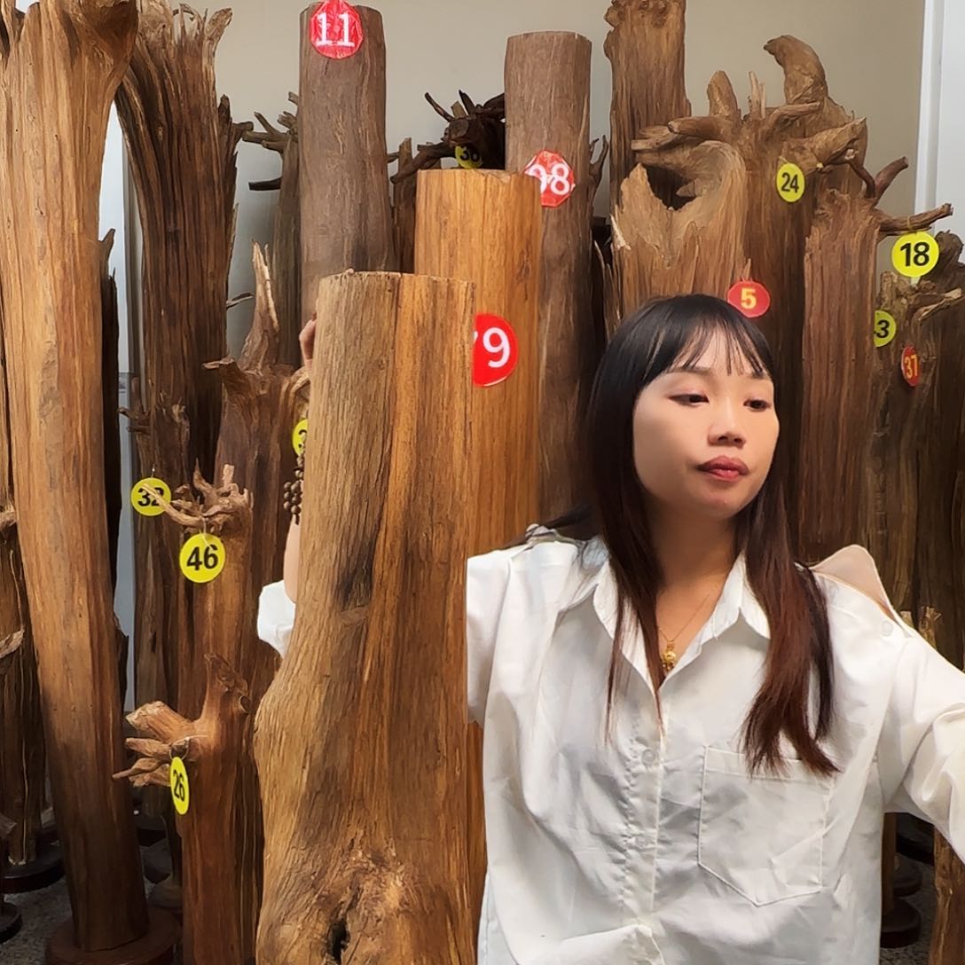 沉香沉香碎屑天然沉香原材料香料熏料