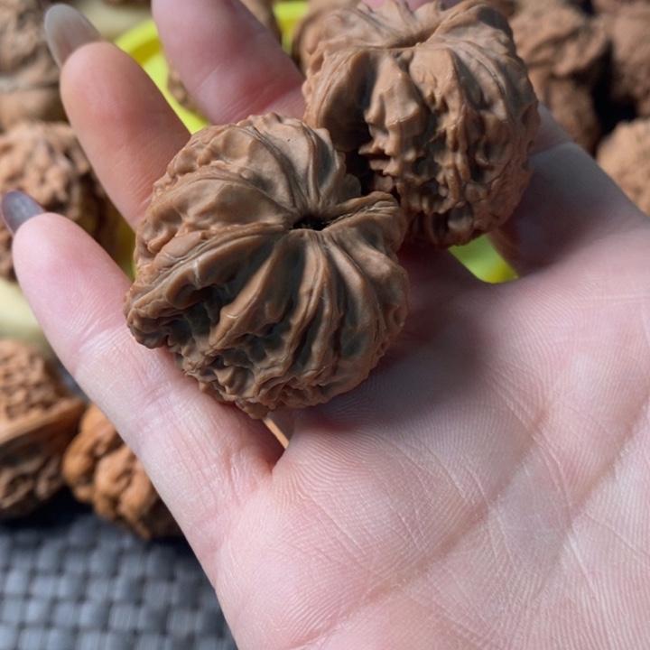 心*38全品白狮子无修无修无修