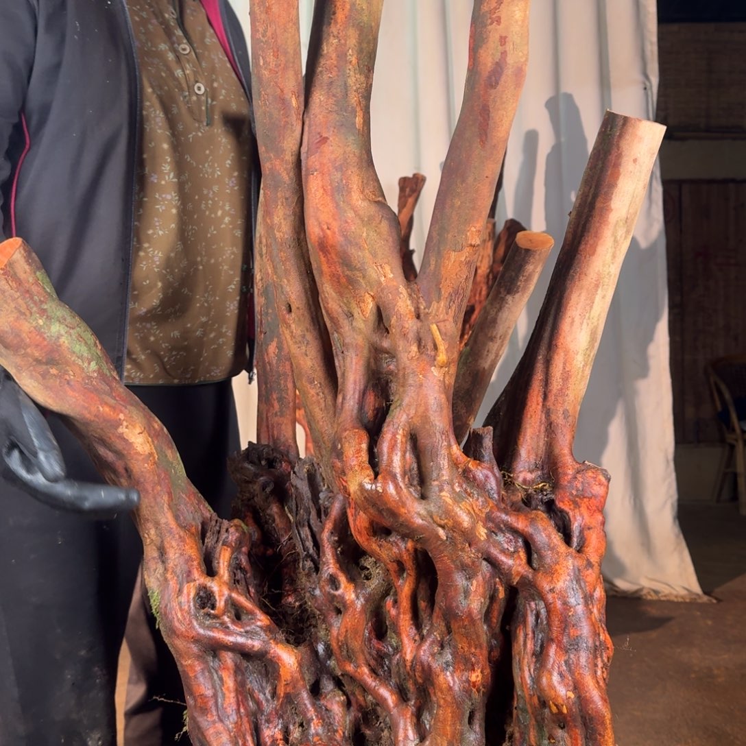 一***3777777777777777777777