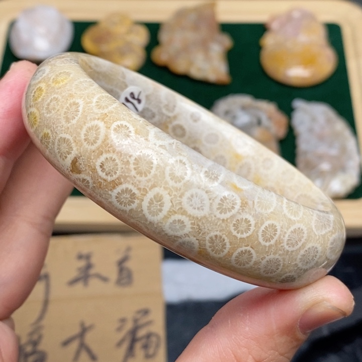 硅化珊瑚（珊瑚玉）手镯未镶嵌58.8