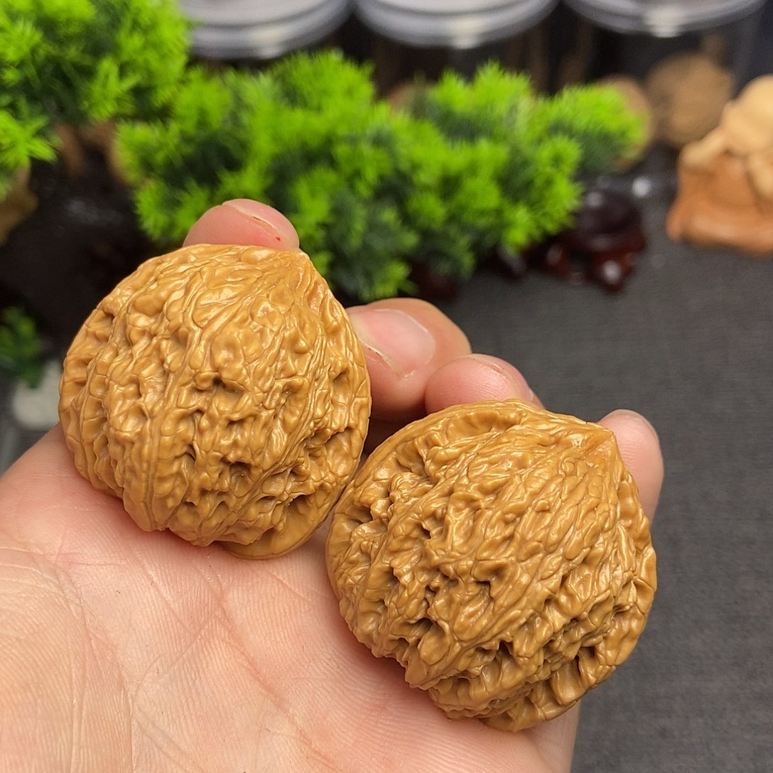 核桃绣球38尺寸编号881