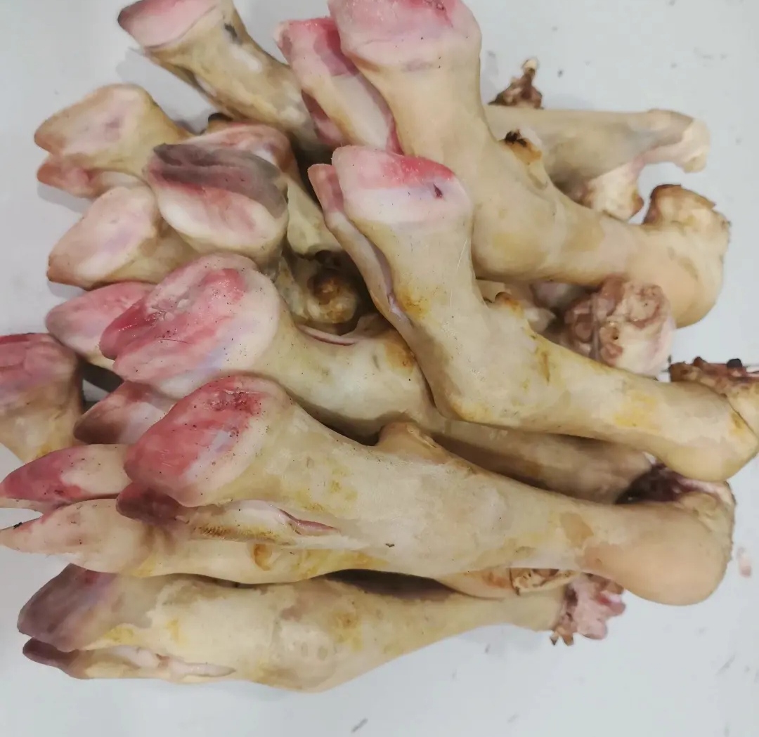 广西散养黑山羊 现场称重 羊腿羊蹄 一物一拍
