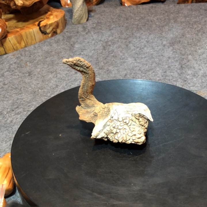 柏木（崖柏）人**耳崖柏19