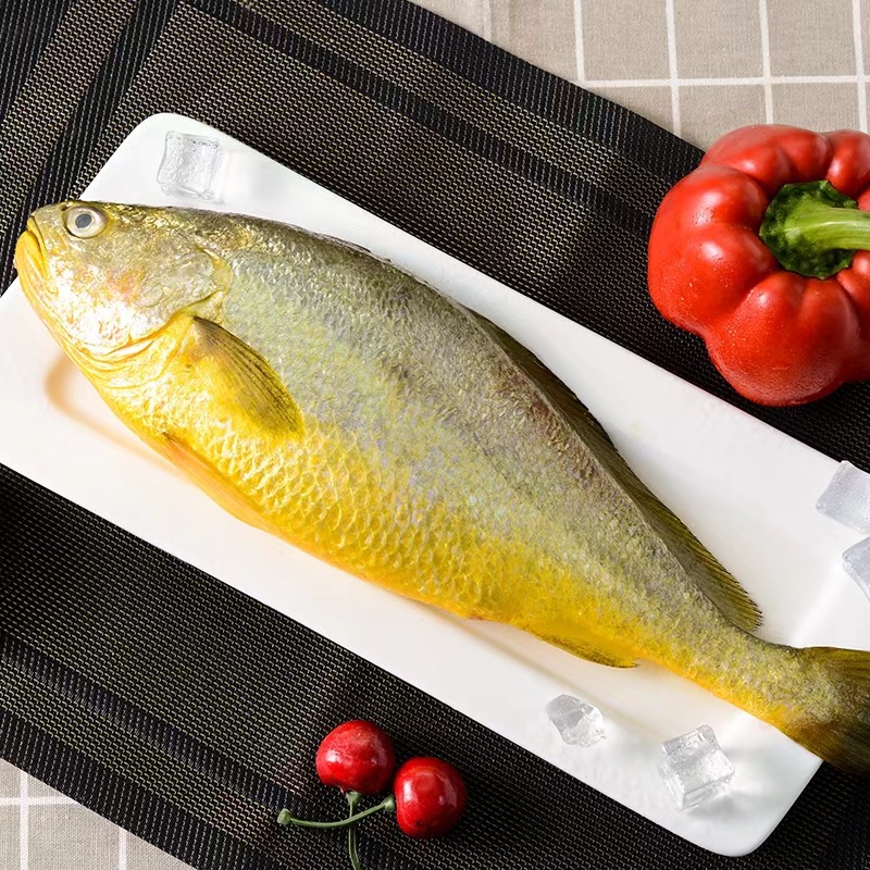 新鲜大黄鱼4条（每条一斤左右）液氮锁鲜发货