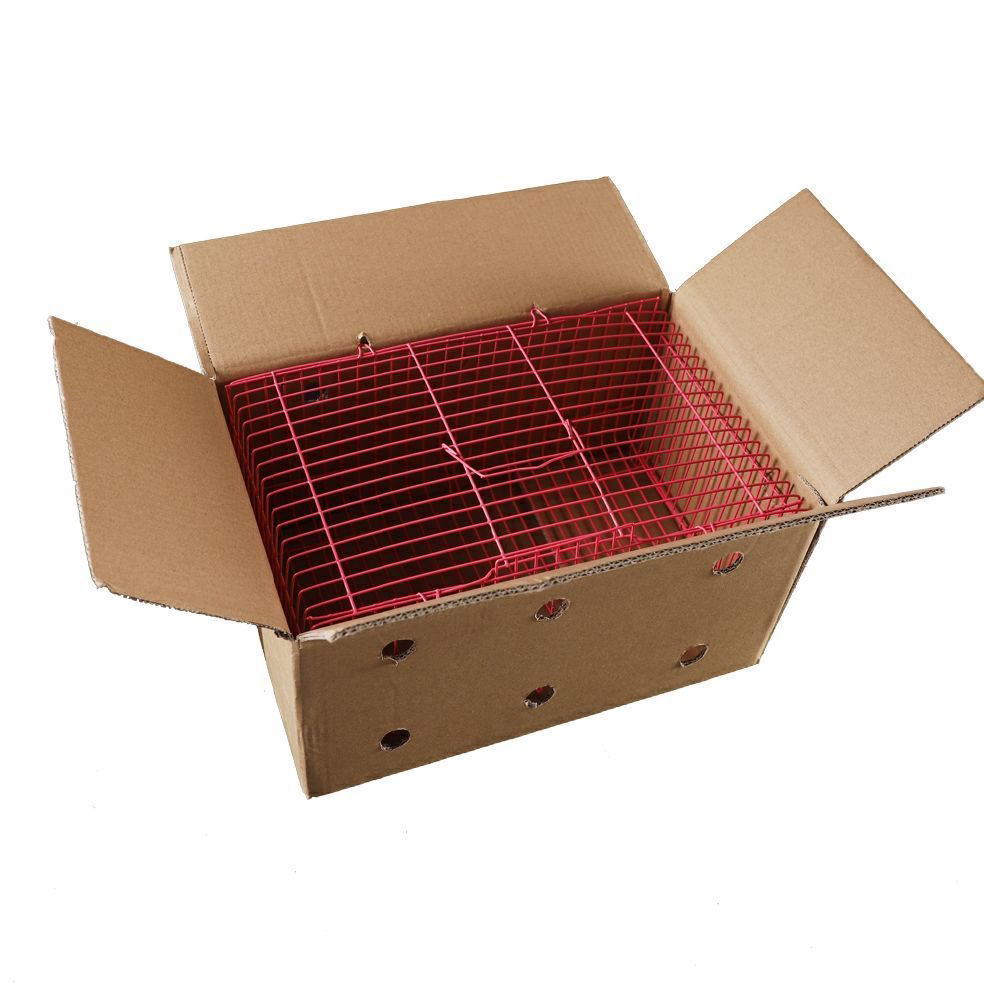 林哥八宠物活体专用运输笼