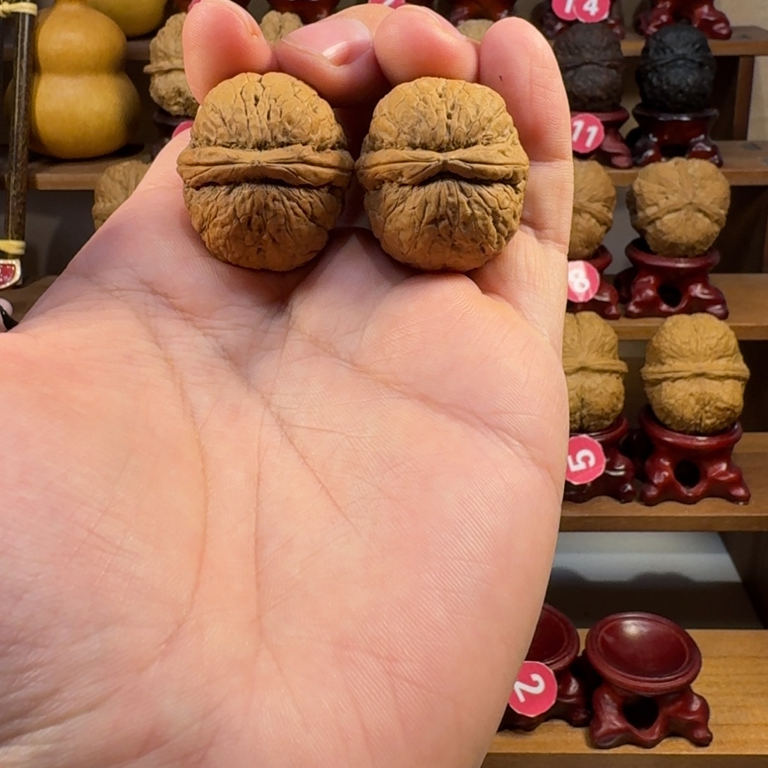 铁核桃把件粗筋小胖墩