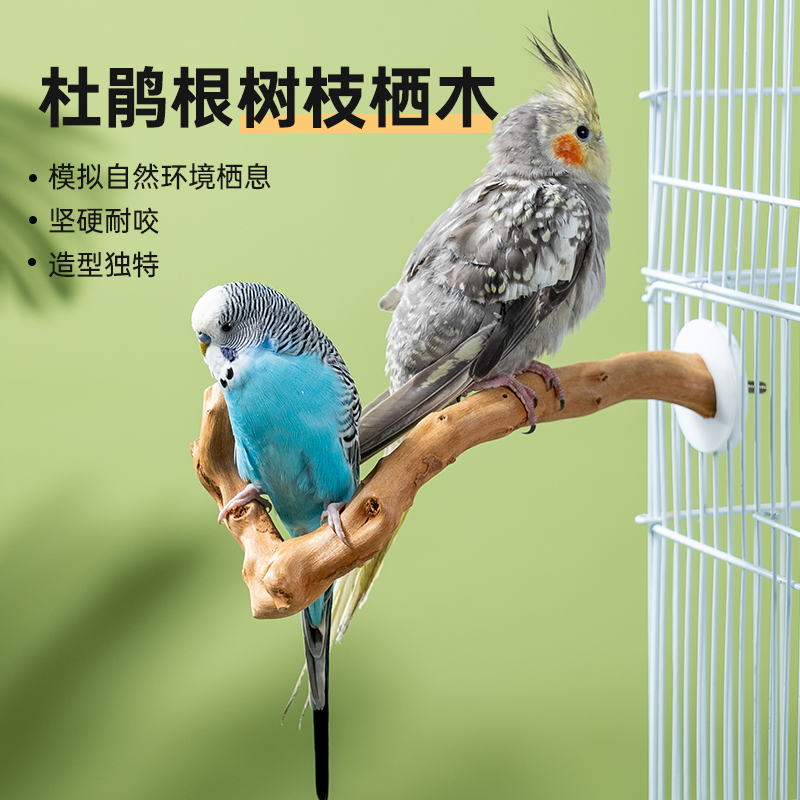 九九小鹦鹉杜鹃木站杆树杈站架牡丹虎皮玄风鸟笼装饰玩具鸟用品