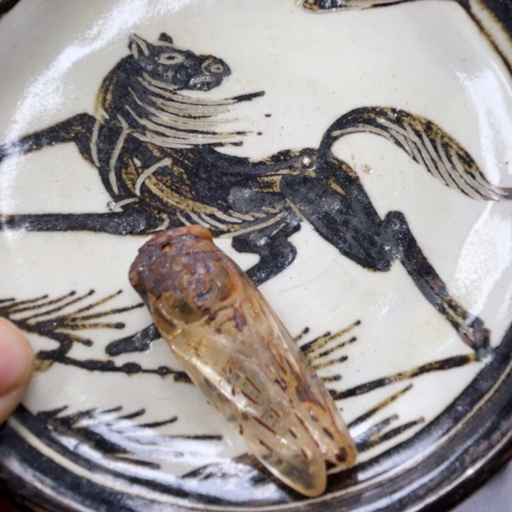 瓷器瓷器瓷器瓷器瓷器瓷器