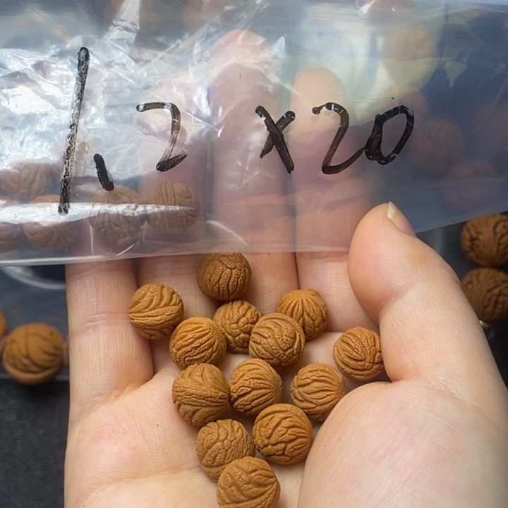 吊坠桃核秦岭山野生桃核