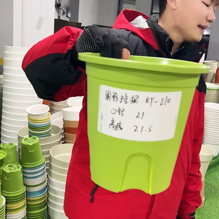 正品圆控口21高21果绿色8只无托
