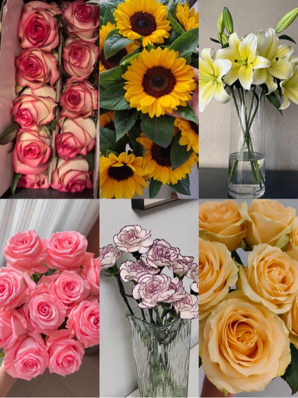 艾莎香槟安娜各10支黄天霸3头5支向日葵3支拍下送10支紫精灵