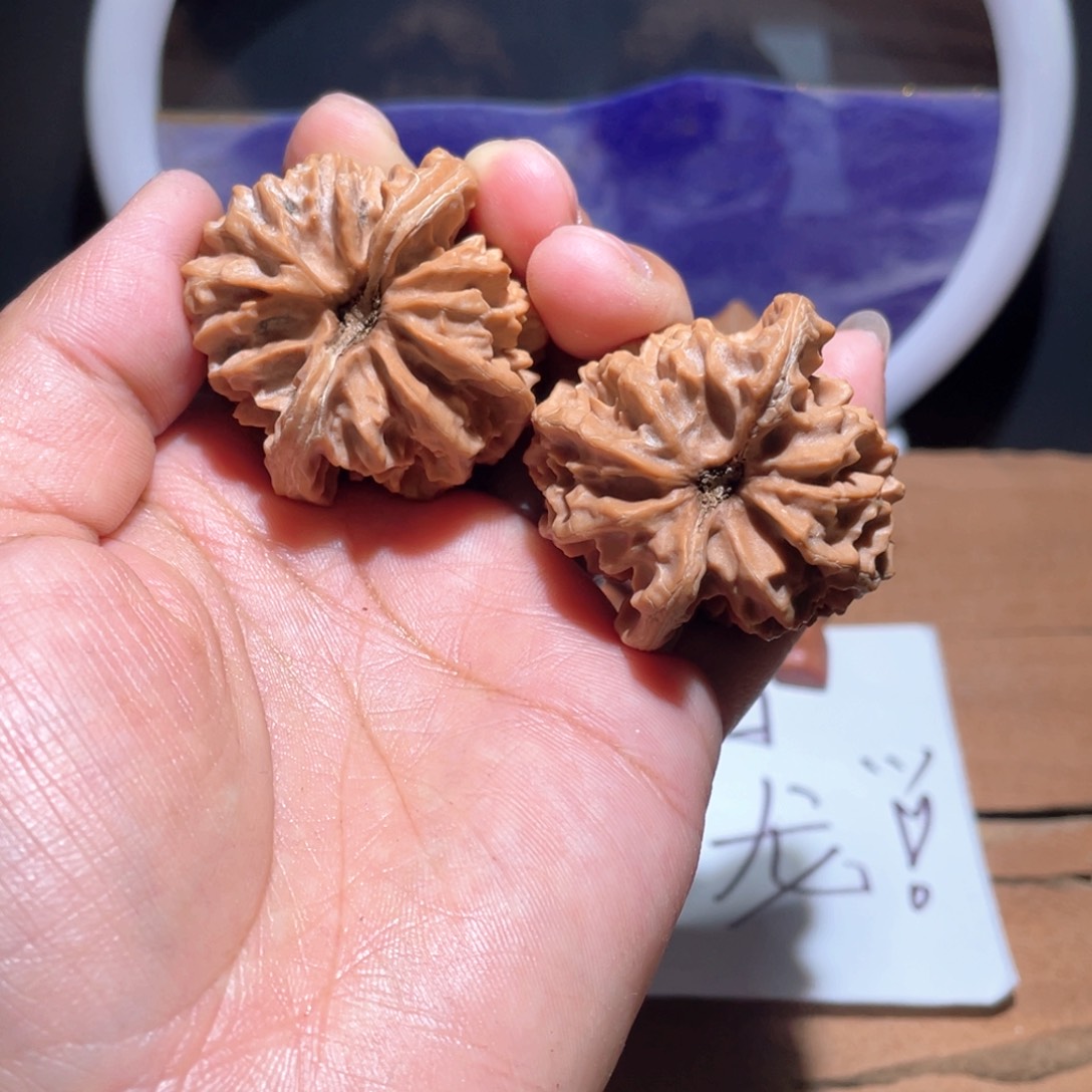 清***气S167 40尺。     大龙