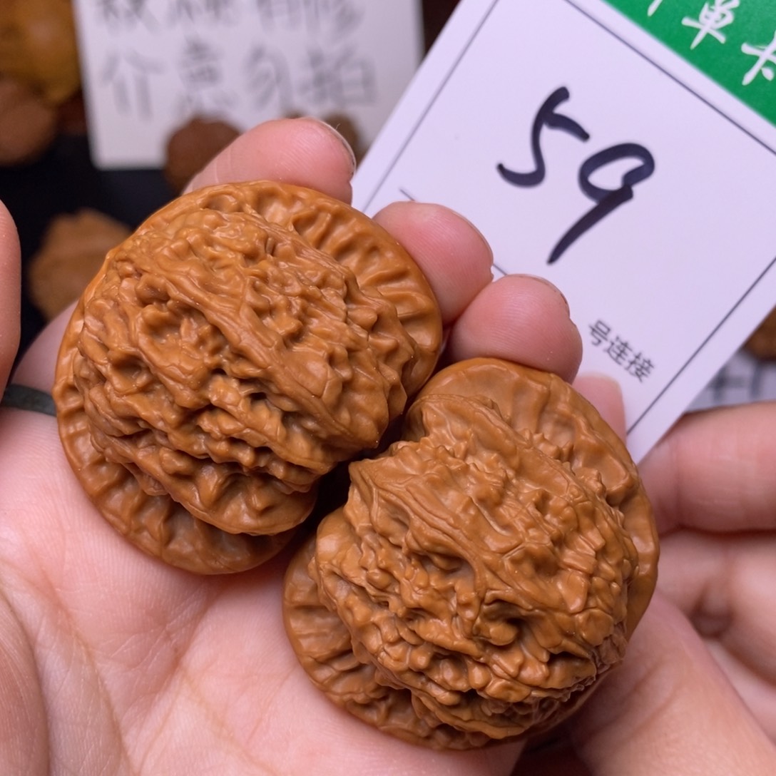 把件文玩核桃59白狮子4.2