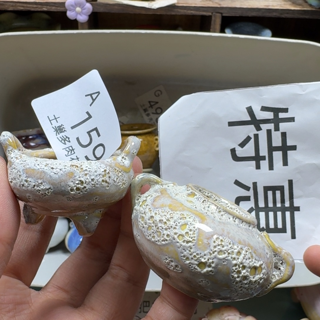 小***牙陶瓷艺术品设计与制作