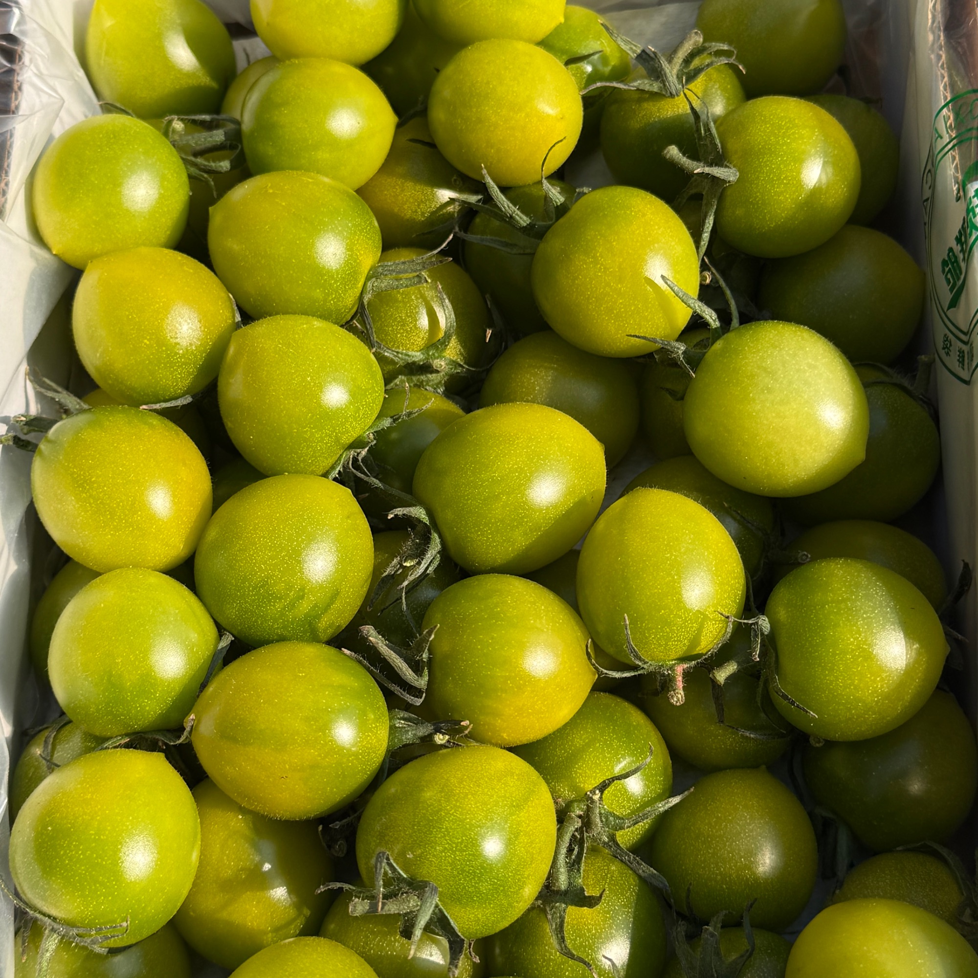 【果小姐】清口蜜番茄35元一箱1000g绿色樱桃小番茄云南省