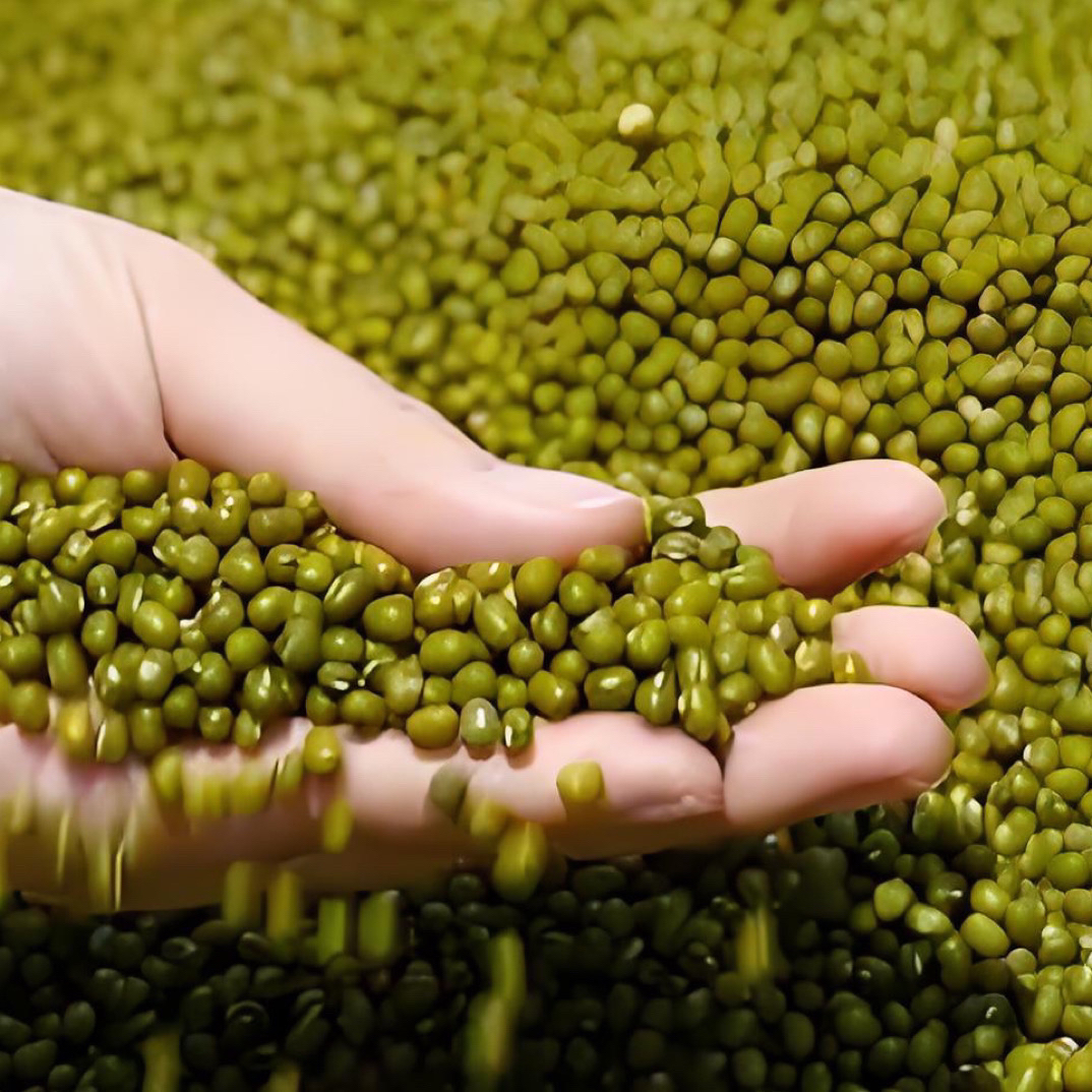 【小绿豆】-大山深处农家豆生态营养
