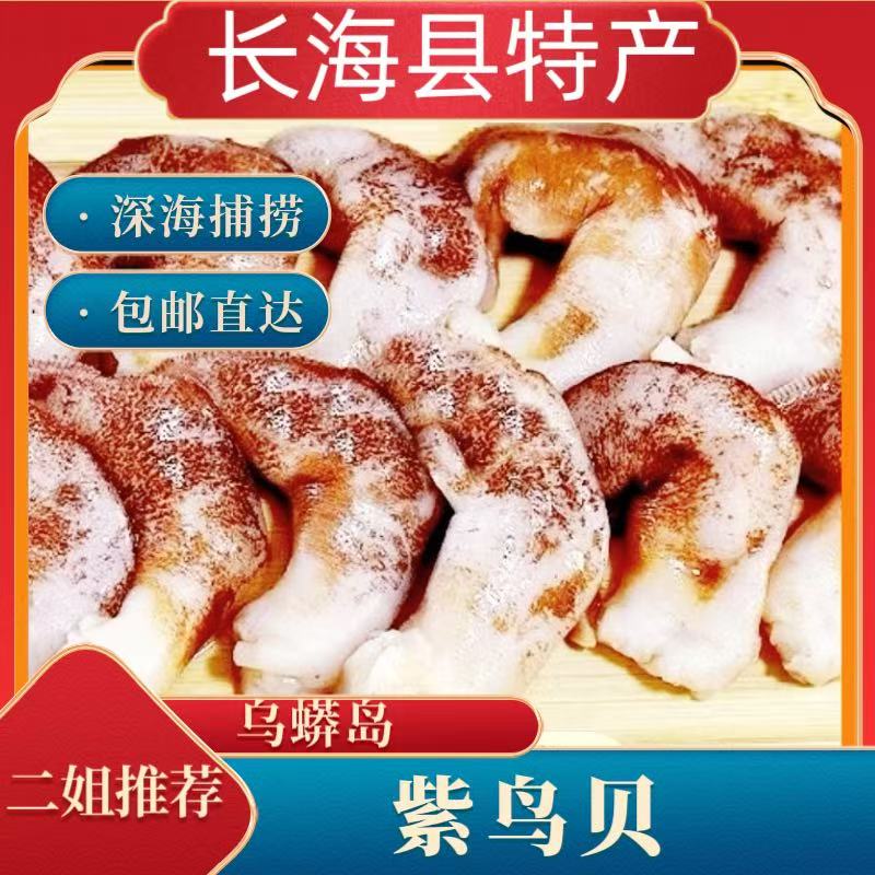 《长海县二姐》长海县当地乌蟒岛紫鸟贝50-60头/斤液氮冻发