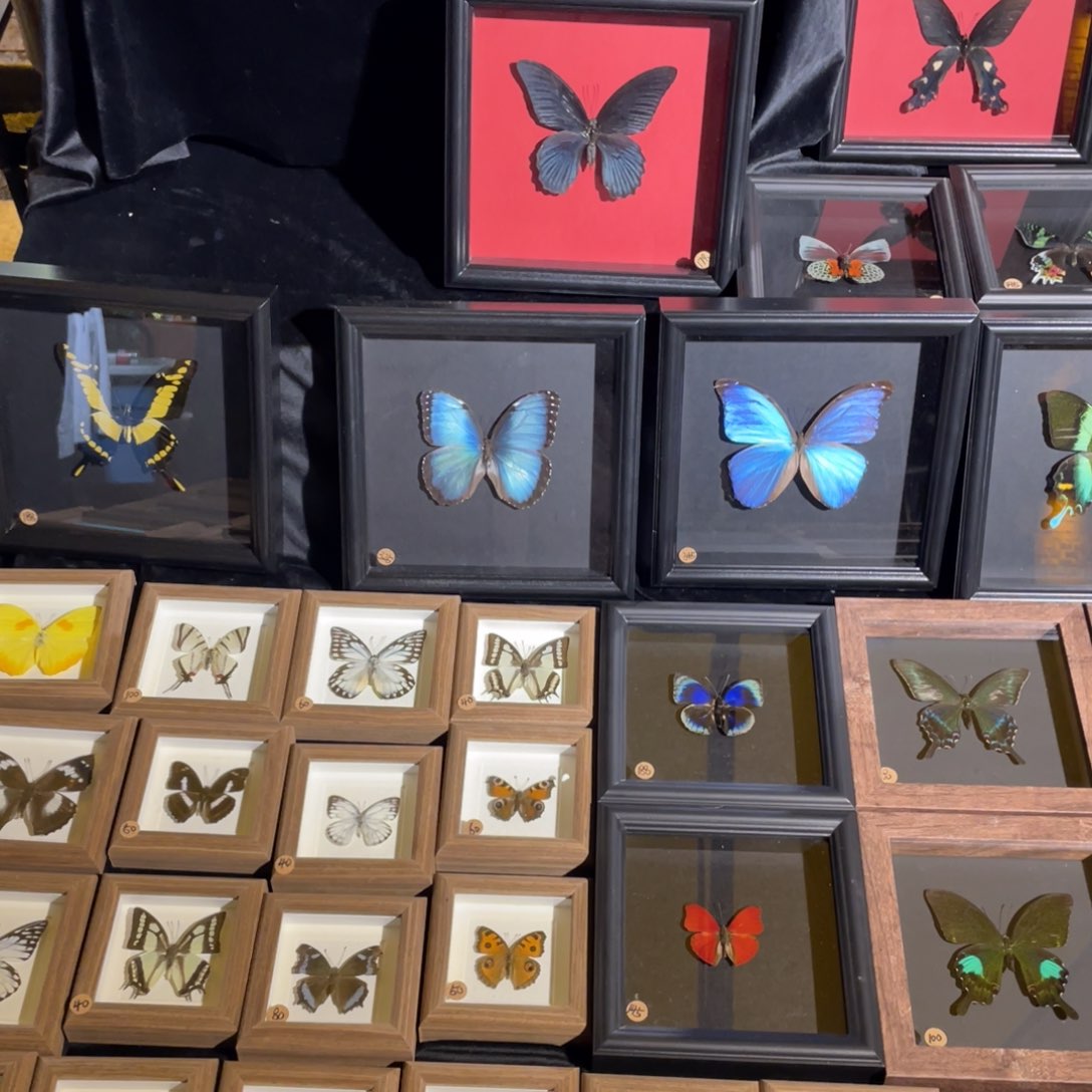 杯陶瓷陶瓷陶瓷陶瓷