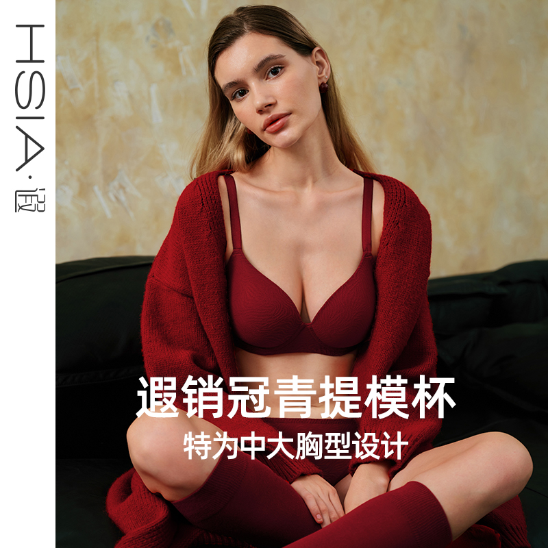 【斑纹蕾丝】遐内衣秋冬新品舒适无痕微聚拢防下垂大胸显小文胸罩