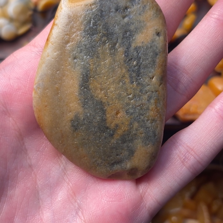 无铁合金一***鱼寿山石