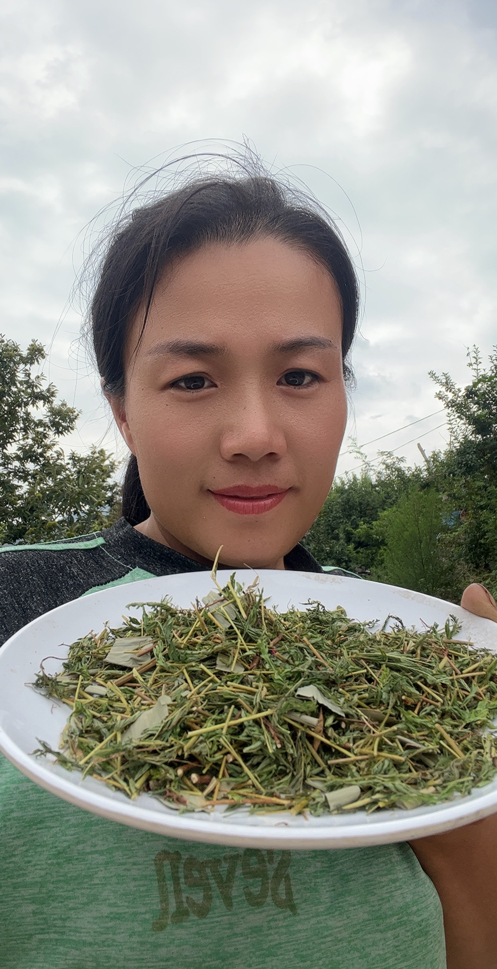 （清清石头草）沂蒙山篦子草和竹叶初级农产品