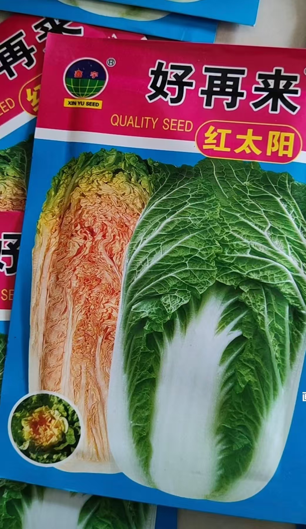 红太阳白菜籽，，，