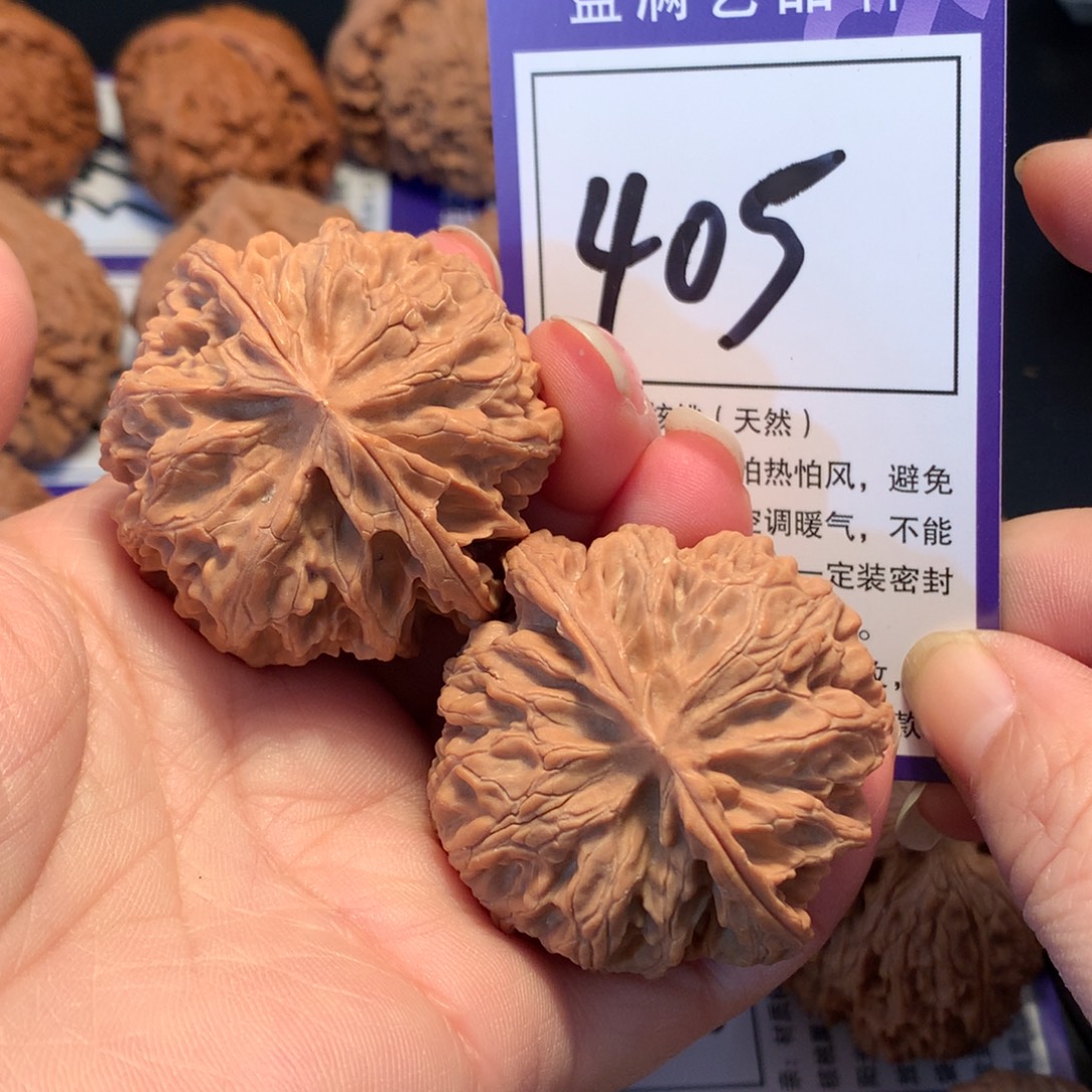 核桃405苹果园4.5