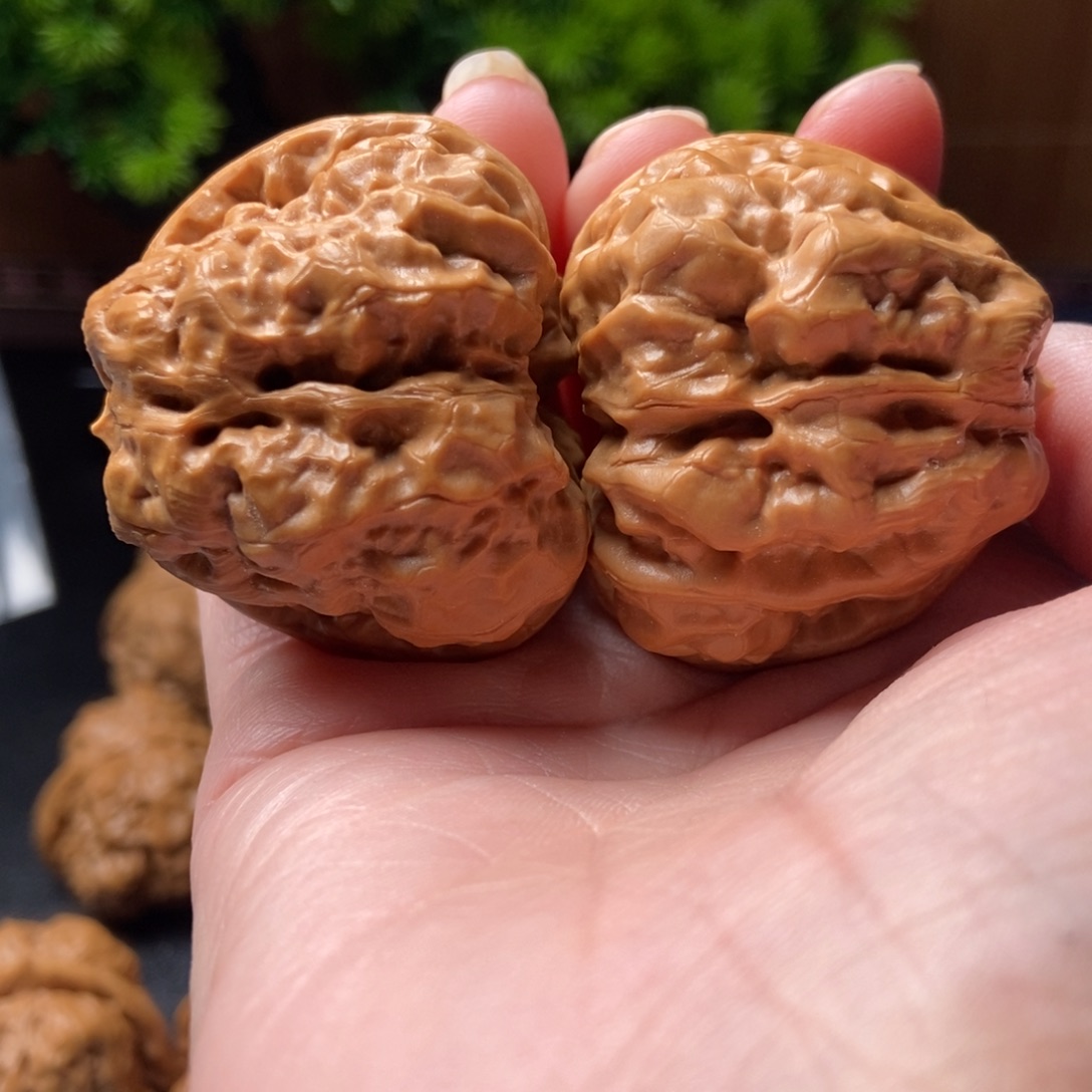 马***溪把件文玩核桃蛤蟆头