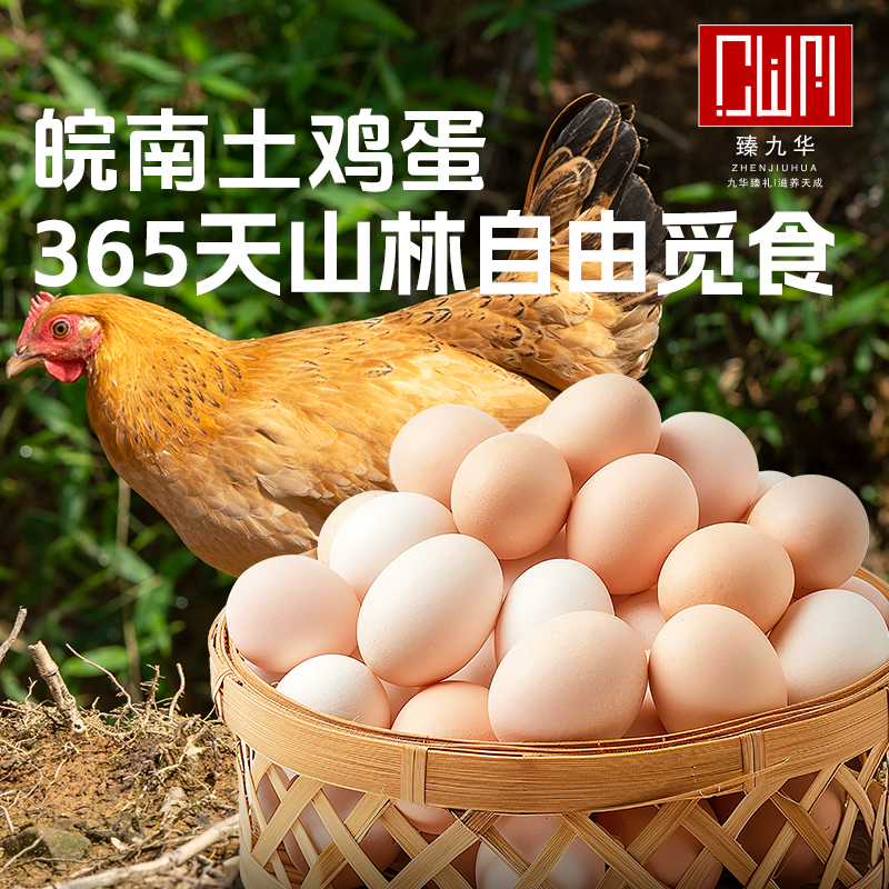 散养鸡蛋农村散养土鸡蛋鲜蛋