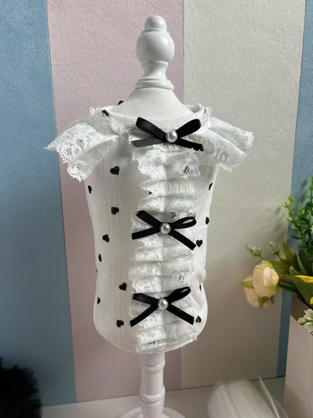 直播专属链接，芒果家宠物定制