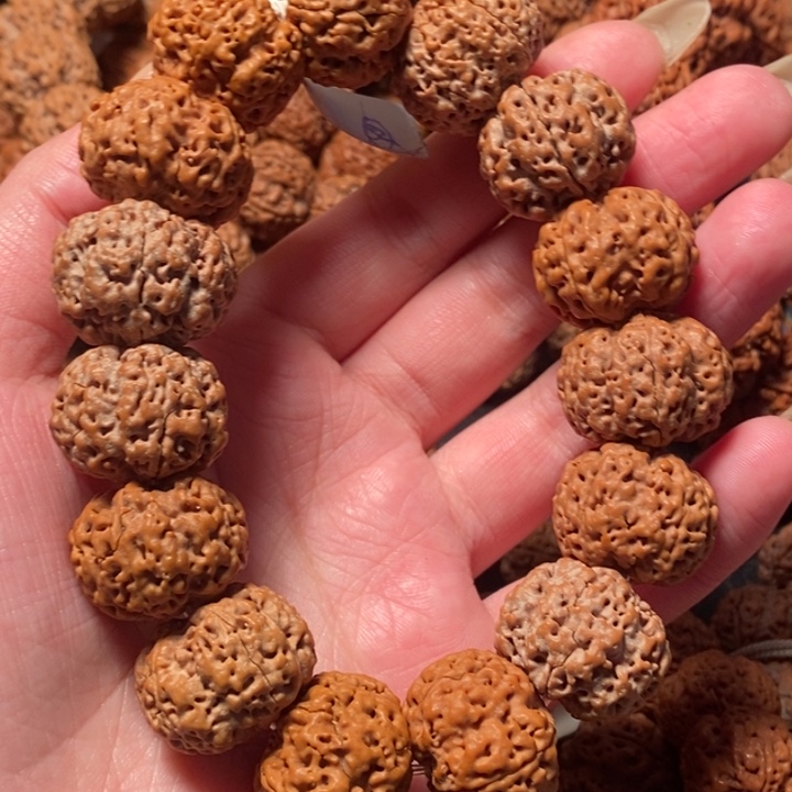 金刚菩提手串五星蜂王093