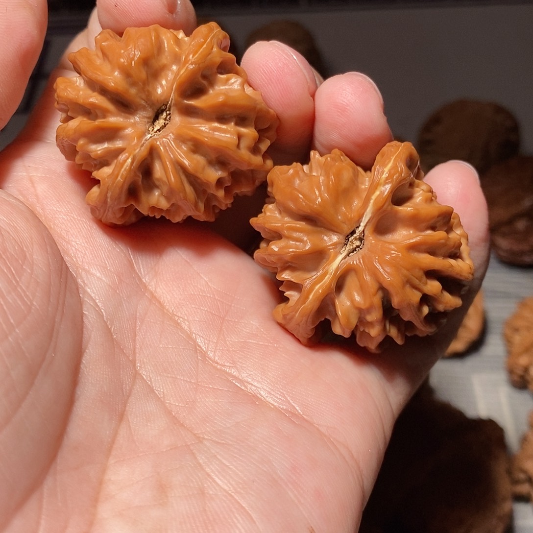 文玩核桃把件020大龙38尺