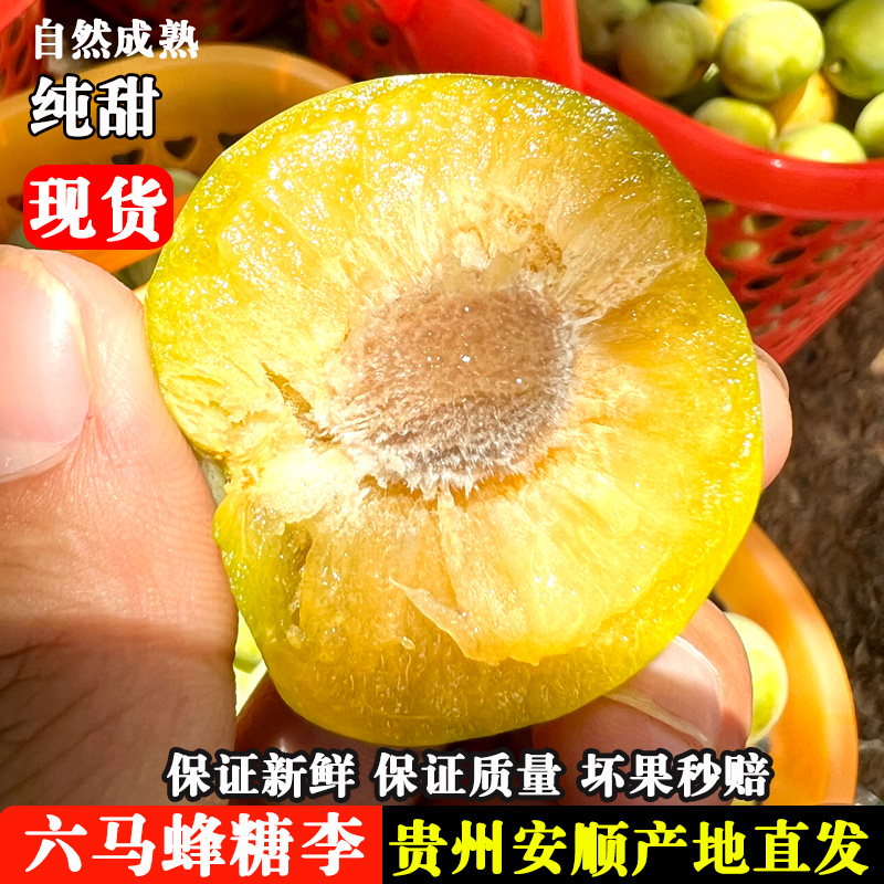 贵州安顺六马蜂糖李新鲜应季水果甘甜多汁肉厚爽口现摘现发货