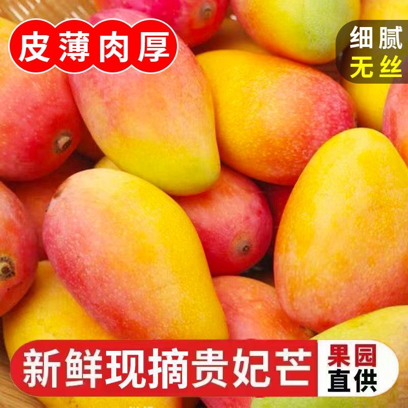 广西百色贵妃芒果6/10斤新鲜采摘需催熟食用应季水果香甜多汁无丝