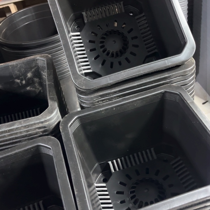 红陶黑方口21高14一组12