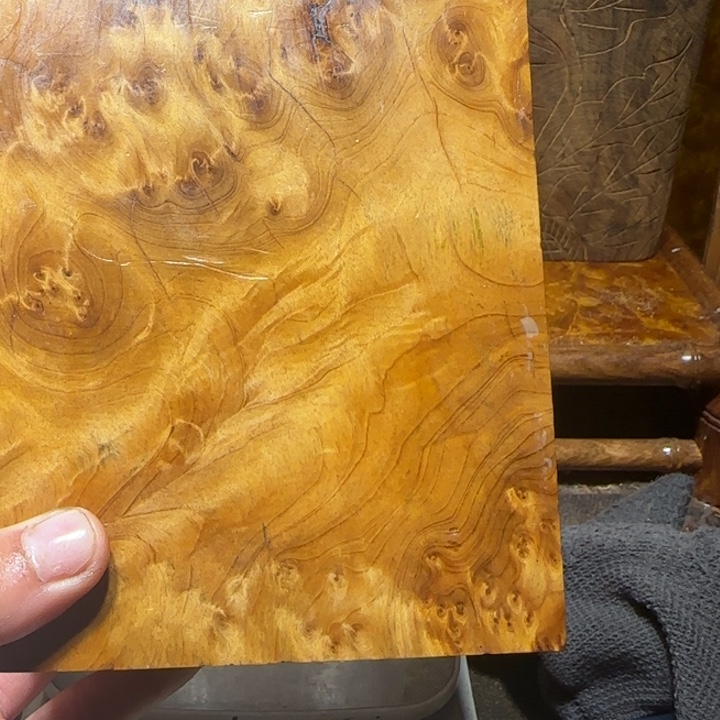 香榧木1111111111111